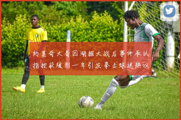 约基奇大哥因湖掘大战后事件承认指控获缓刑一年引发拳击球迷热议