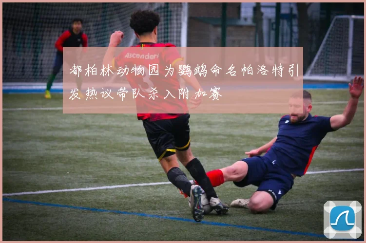 都柏林动物园为鹦鹉命名帕洛特引发热议带队杀入附加赛