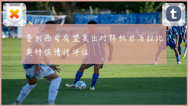 普利西奇有望复出对阵帕尔马拉比奥特伤情待评估